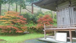 文保寺　紅葉　兵庫県　もみじ三山