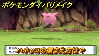 ポケモンダイパリメイク　ハネッコの捕まえ方は？出現場所は？　最新版【ブリリアントダイヤモンド・シャイニングパール】