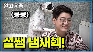 “경찰 같아요..” 설쌤 오자마자 제대로 검문하는 강아지｜세상에 나쁜 개는 없다｜알고e즘
