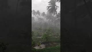 Alangayam Tamil Nadu  13th May 2020 cyclone