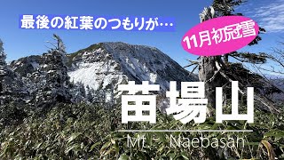 【苗場山】 2024年11月　晩秋の苗場山の登るつもりで計画した山行、数日前に雪が少し降ったという。さすが豪雪地域、これが新潟のちょっとなんだ！？　今シーズン初雪山。