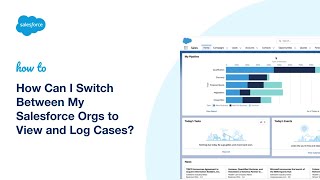 How Can I Switch Between My Salesforce Orgs to View and Log Cases?