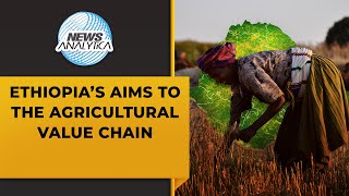 Ethiopia’s Aim to the Agricultural Value Chain