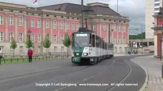 ViP Potsdam Strassenbahn / Trams at Alter Markt / Landtag, Potsdam, Germany