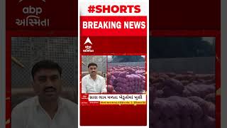 GONDAL YARD News | ગોંડલમાં ડુંગળીની મબલખ આવક, જાણો મણના કેટલા મળ્યા ભાવ?