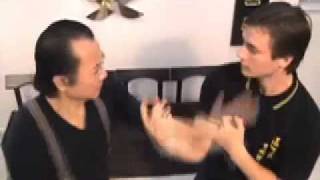 Practical Wing Chun - Sifu Wan Kam Leung