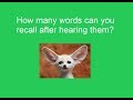 Just 1 Out of 10 People Can Get A Full Score in This Memory Quizzz - Short-Term Auditory Memory Test