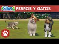 Los Sims 4 Perros y Gatos: tráiler oficial de lanzamiento