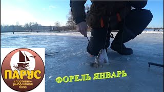 ЯНВАРЬ ЛЕД ОТКРЫТАЯ ВОДА ФОРЕЛЬ \