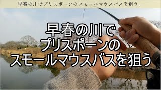 早春の川でプリスポーンのスモールマウスバスを狙う。