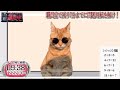 逃走中をすることになった猫たちの日常パート２【猫ミーム】【猫マニ】