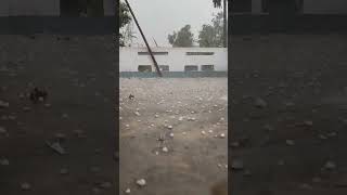 শিলা বৃষ্টি। hail storm#hailstrom #rain #btsshorts