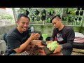 tips memasang mounting panen platycerium elephantotis bersama mr putu plantbydestiny