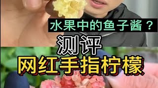 8001斤的手指柠檬有人吃过吗？水果界的鱼子酱？