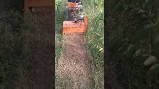 flail mower(mulching) in high density guava| ZEBU| electric| INAV AGRO MECH