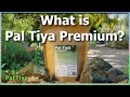 What is Pal Tiya Premium? - Explainer Video (Outdoor sculpting medium)