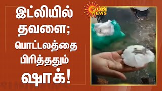 இட்லியில் தவளை; பொட்டலத்தை பிரித்ததும் ஷாக்! | Frog idly | Kumbakonam