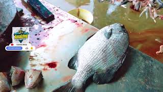 පර මුවා | fish cutting skill | @amazingfishcutting