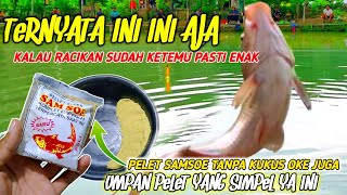 TERNYATA PELET SAMSOE JUGA AMPUH‼️UMPAN MANCING IKAN MAS HARIAN YANG SUSAH MAKAN