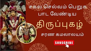 சகல செல்வம் பெறுக #murugan #devotionalsongs #murugansongs #song #devotional