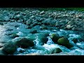 serene river sounds for deep sleep and stress relief 😴 peaceful water flow