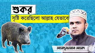 পৃথীবিতে শুকোর কিভাবে সৃষ্টি করেছিলো আল্লাহ |শুকর সৃষ্টির আসল কাহীনি জানুন Asaduzzaman waz