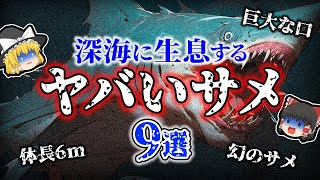 【ゆっくり解説】深海に生息する未だ謎多きヤバい「サメ」9選