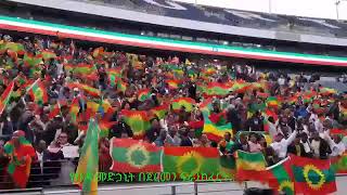 የቡዳ መድኃኒት በጀርመን ፍራንክፈርት::