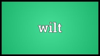 Wilt Meaning