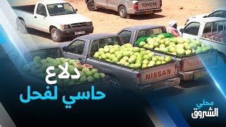 #المنيعة: البطيخ الأحمر أو \