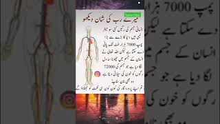 میرے رب کی شان #subhanallah #humanbody #nervoussystem #biology #urduquotes #islamicscripture #shorts