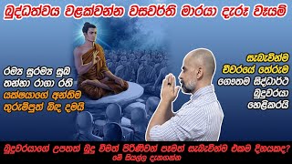 බුද්ධත්වය වළක්වන්න වසවර්ති මාරයා දැරූ වෑයම් | චීවරයේ තේරුම ගෞතම සිද්ධාර්ථ බුදුවරයා හෙළිකරයි