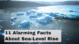 11 Alarming Facts About Sea Level Rise