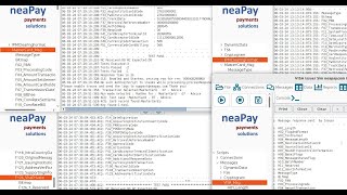 neaPay ISO858 simulator demo setup for VISA and MasterCard