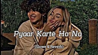 Pyar Karte Ho Na - [ Slowed + Reverb ] | Lofi Music| Shreya Ghoshal | V-Series Lofi