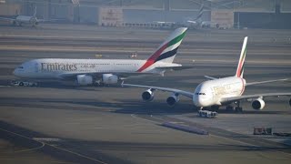 dubai Airport terminal 3 UAE AIRPORT IN covid pandemic