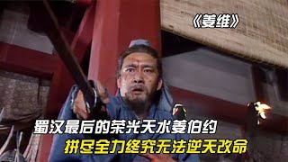 三国里的意难平，蜀汉最后的荣光天水姜伯约，我计不成，乃天命也