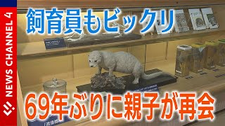 ‟６９年ぶり”親子の再会も！　ニホンカワウソ特別展＜NEWS CH.4＞