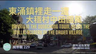 視界觀229 南沙系列 東涌鎮裡走一遭，大穩村中田園風 Driving in Dongchong town and enjoy the idyllic scenery of Dawen village