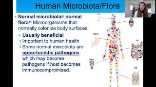 Host Microbe Interactions (Microbiome, Pathogens)