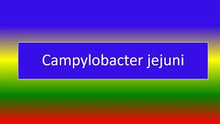 campylobacter jejuni