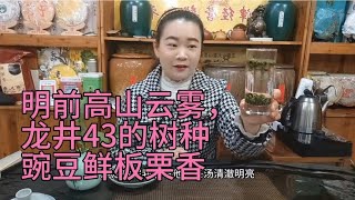 明前高山云雾，龙井43号树种，豌豆鲜，板栗香，茶香浓郁，耐冲泡