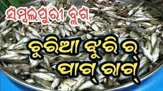 ଚୁରିଆ ଝୁରି ତୁନ୍ !! Churia Jhuri Tun