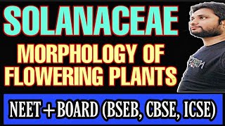 SOLANACEAE: MORPHOLOGY OF FLOWERING PLANTS :- BOARD+NEET (CBSE, ICSE, BSEB) : BY- SAHIL SIR