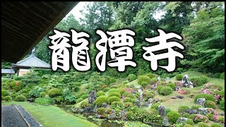 【お寺】龍潭寺 遠州の古刹・井伊家菩提寺 \