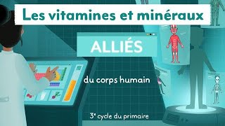 Les vitamines et minéraux : alliés du corps humain (3e cycle)