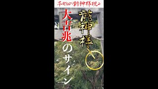 今、逃すと二度と見れない❗️※緊急配信⚠️龍神様と繋がる大吉兆！瀬織津姫ツナグ❣️姫旅（せおりつひめ）命　#shorts  @369 Miroku Mind ​