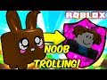 Noob Disguise With Chocolate Bunny Pet! Noob Trolling Fun - Bubble Gum Simulator