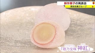 人気の菓子「陸乃宝珠」もリニューアル！　源吉兆庵が２０２３年春夏の新商品を発表【岡山・岡山市】 (22/10/12 18:00)