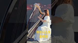 하프니스트 홍혜경